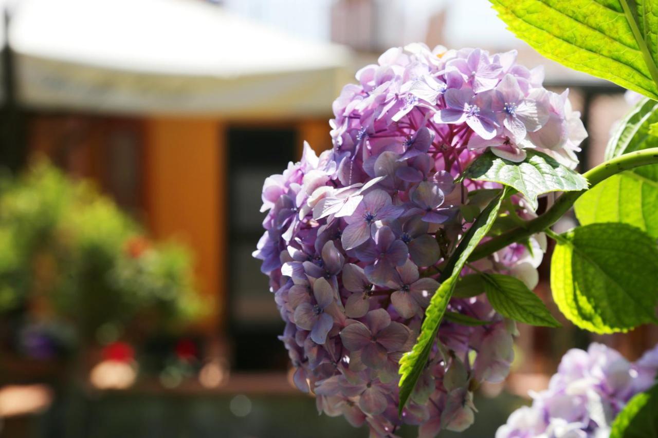 Casa Rosaria Amalfi Coast Bed & Breakfast Vietri Exterior foto