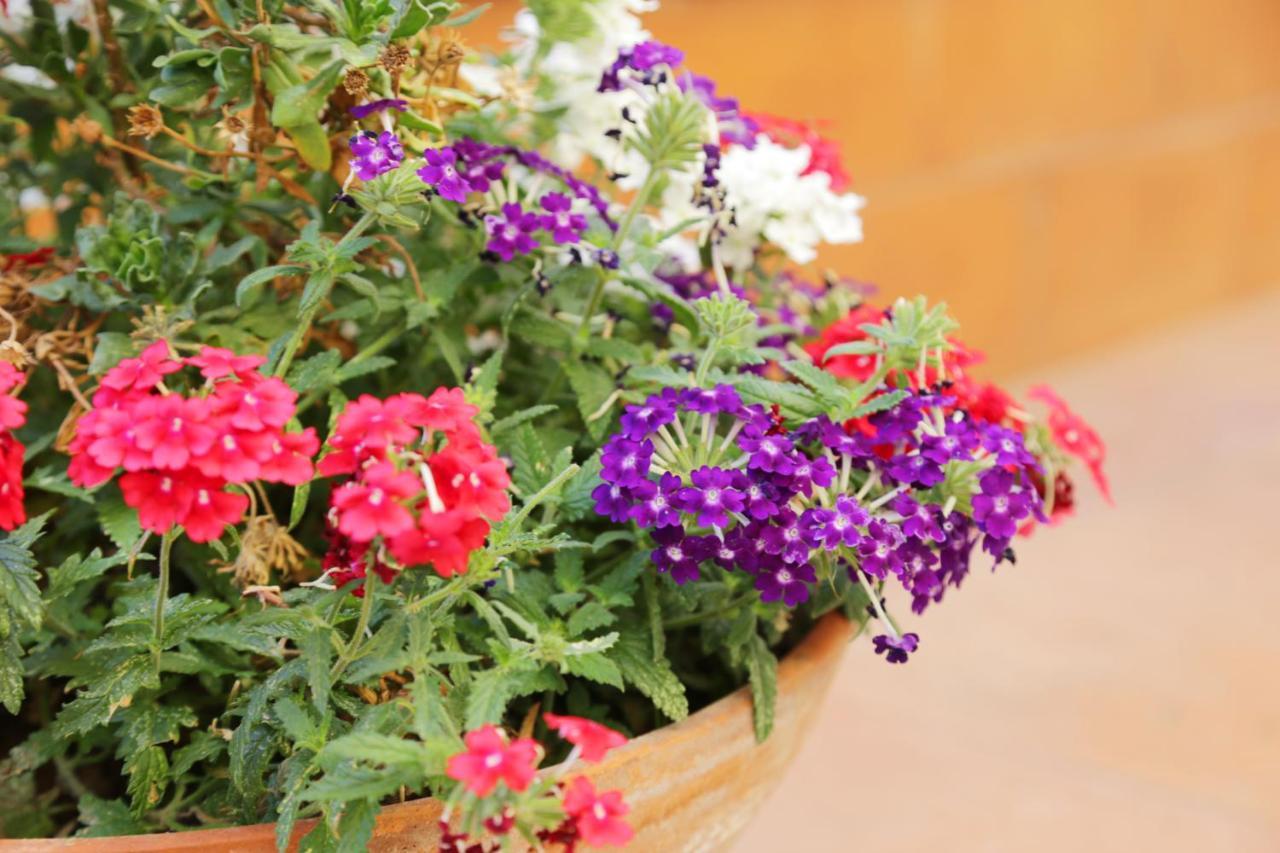 Casa Rosaria Amalfi Coast Bed & Breakfast Vietri Exterior foto